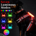 Nylon dog leash with seven-colour LED lights and USB charging cable for night-time walks