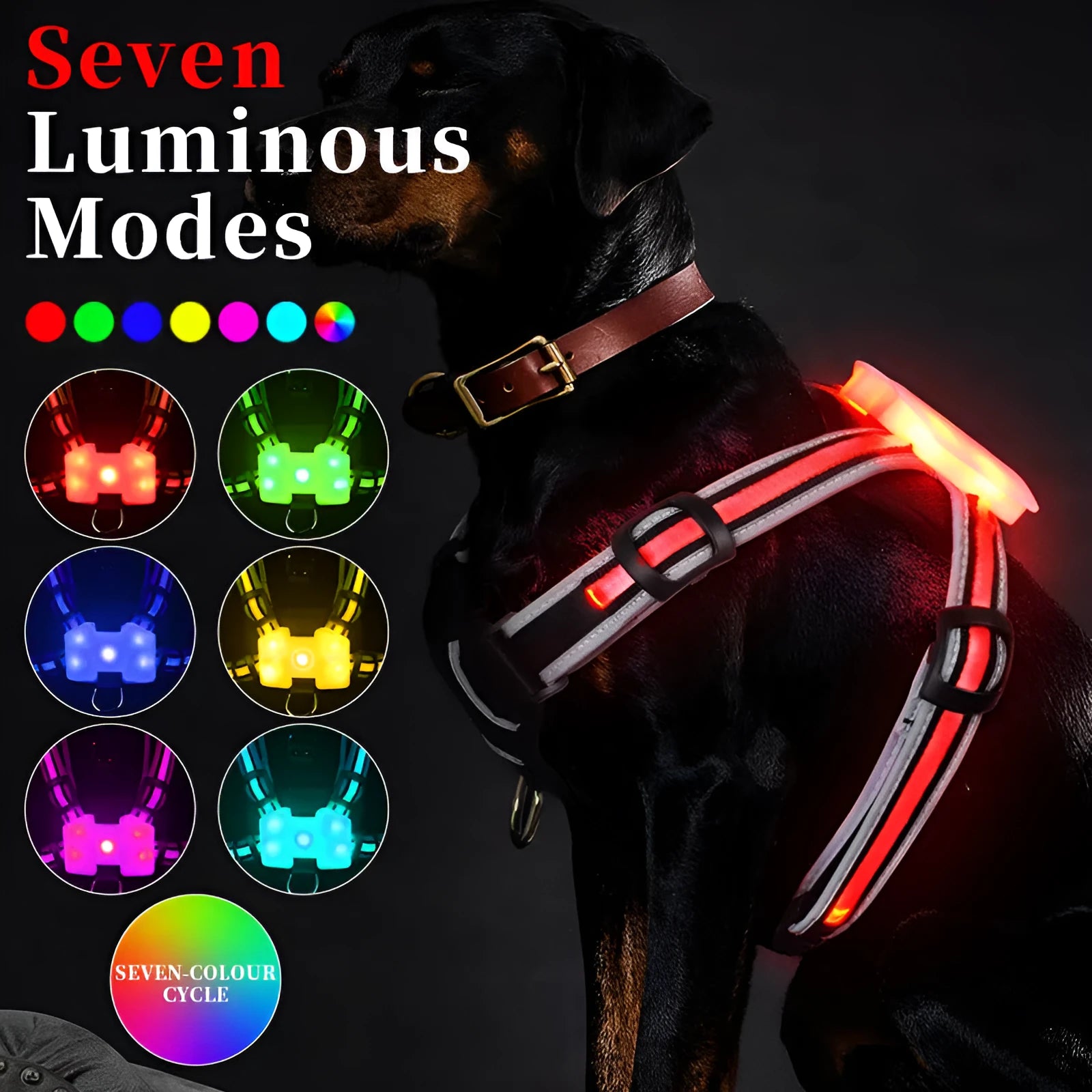 Nylon dog leash with seven-colour LED lights and USB charging cable for night-time walks