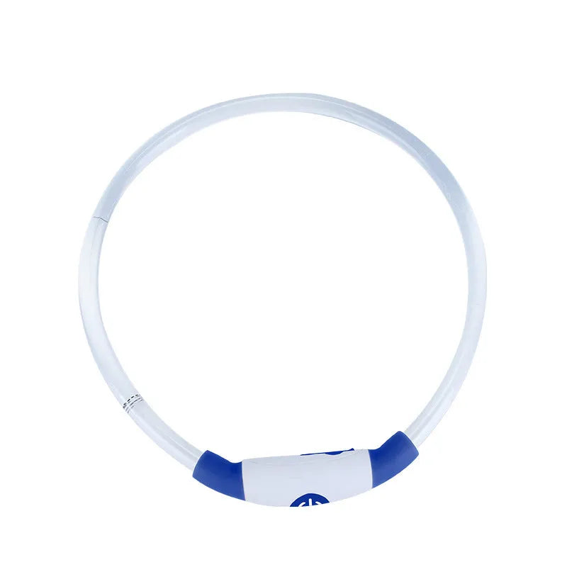 Blue LED dog collar glowing with adjustable TPU band and USB charging port visible