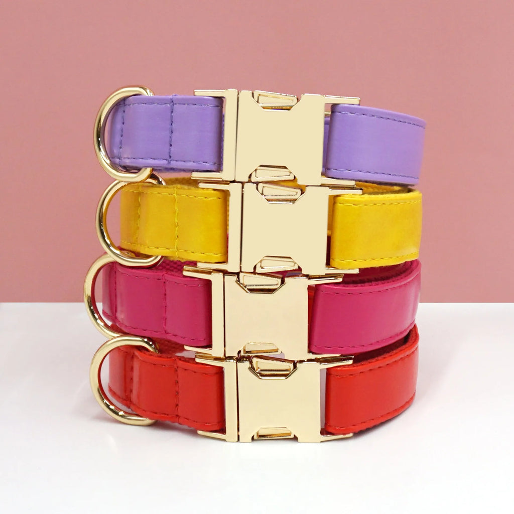 Leather Velvet-style dog collar shown in multiple colour options including caramel, dark blue, and dark brown.