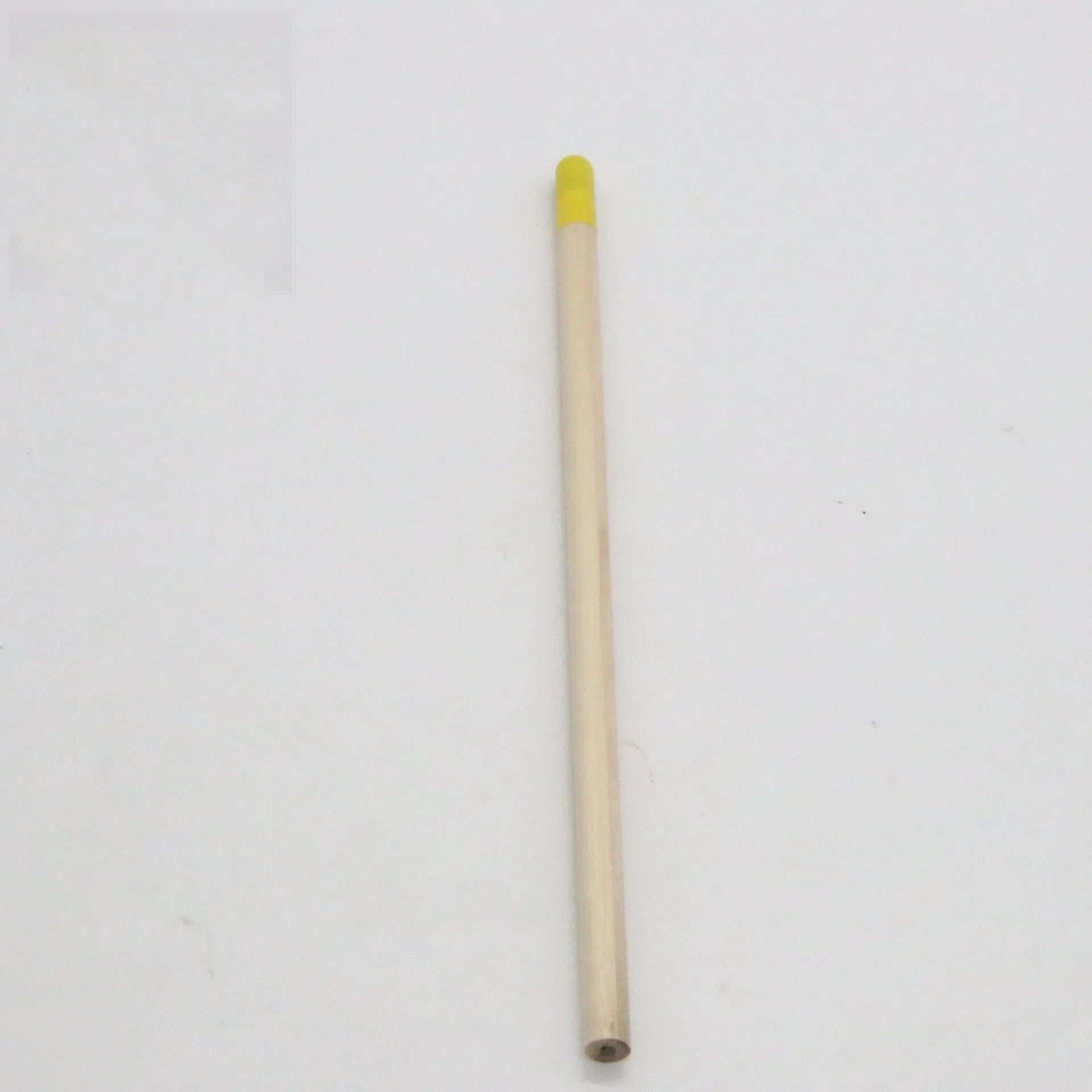 HB seed pencil with degradable plantable capsules in various colours containing flower and vegetable seeds