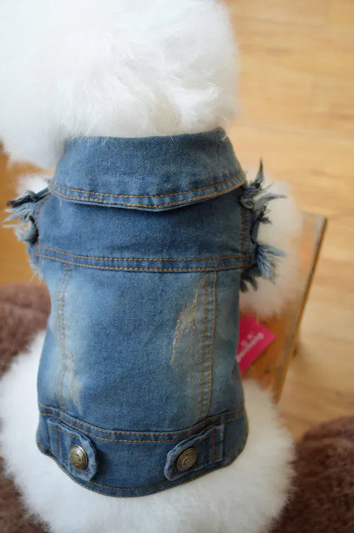 Blue denim dog vest with a retro scratch pattern on a small white dog.