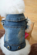 Blue denim dog vest with a retro scratch pattern on a small white dog.