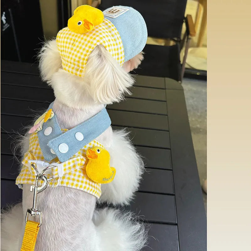Three-piece pet set showing a dog harness, leash, wire rope pull, and a cute cotton hat on a small dog.