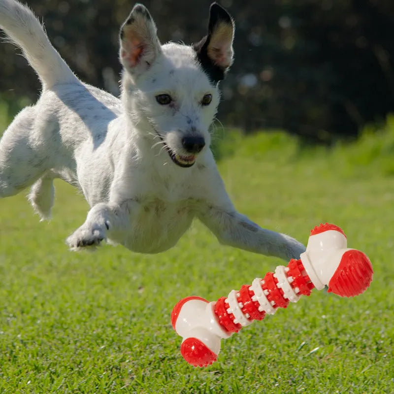 Blue bone-shaped interactive dog chew toy with hollow treat compartment for small breed dogs.