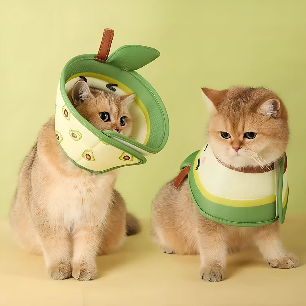 Soft EPE adjustable cat cone recovery collar with folding edges on grey background