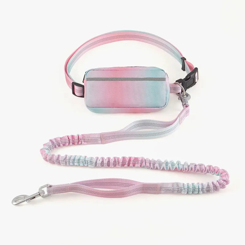 Hands-free adjustable dog leash with reflective traction rope and waist belt in blue