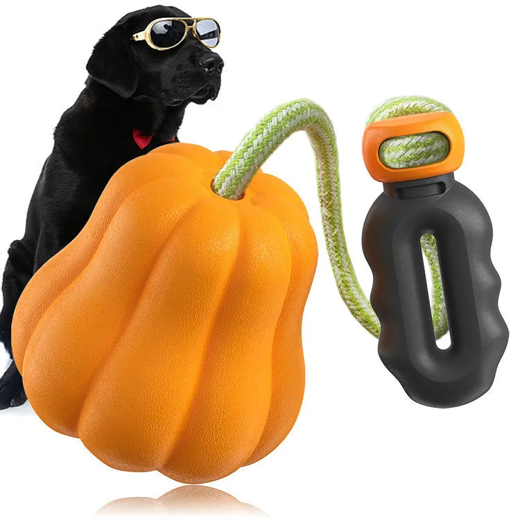 Pumpkin-shaped plastic dog toy with rope attachment for outdoor long throws and molar chewing