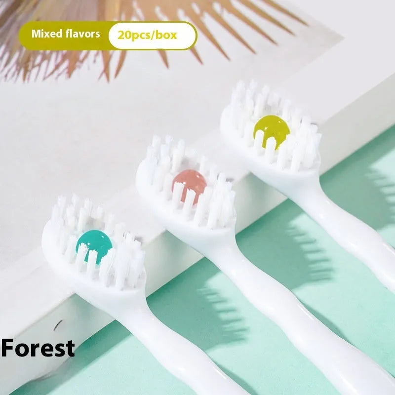 Box of disposable bead toothbrushes in mint, peach, plum green tea, and mixed flavours for travel oral care.