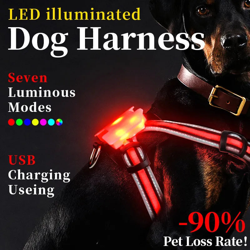 Nylon dog leash with seven-colour LED lights and USB charging cable for night-time walks