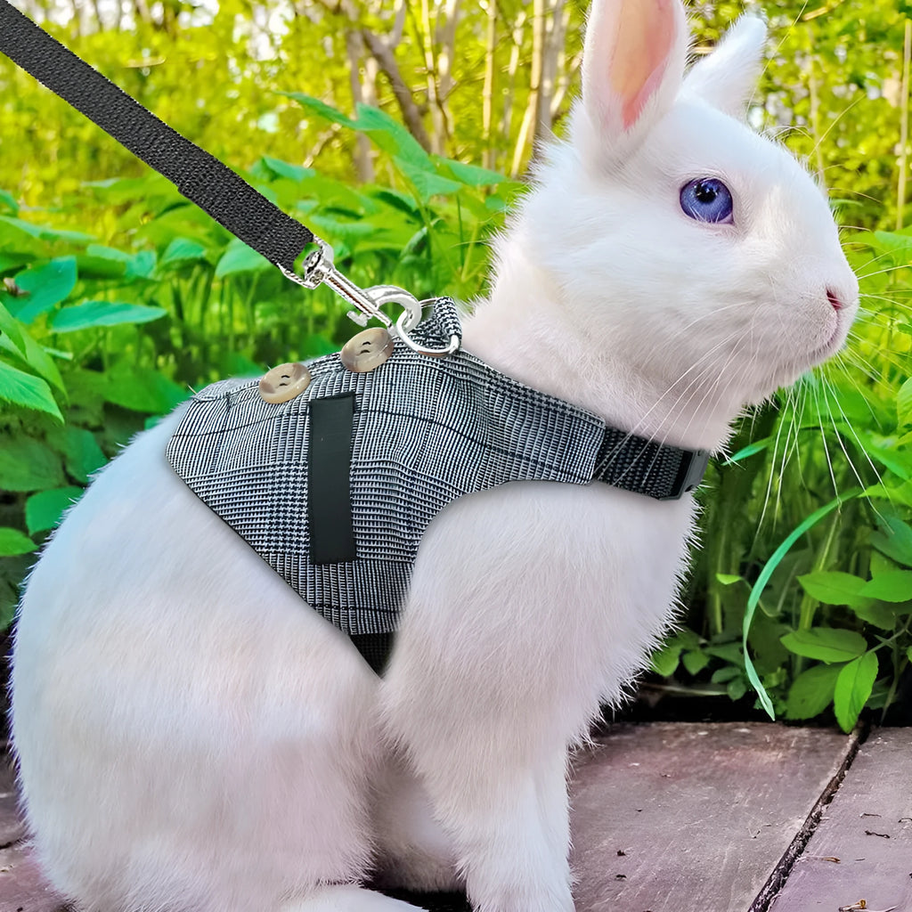 Grey cloth rabbit leash with dress in three sizes S M L chest strap