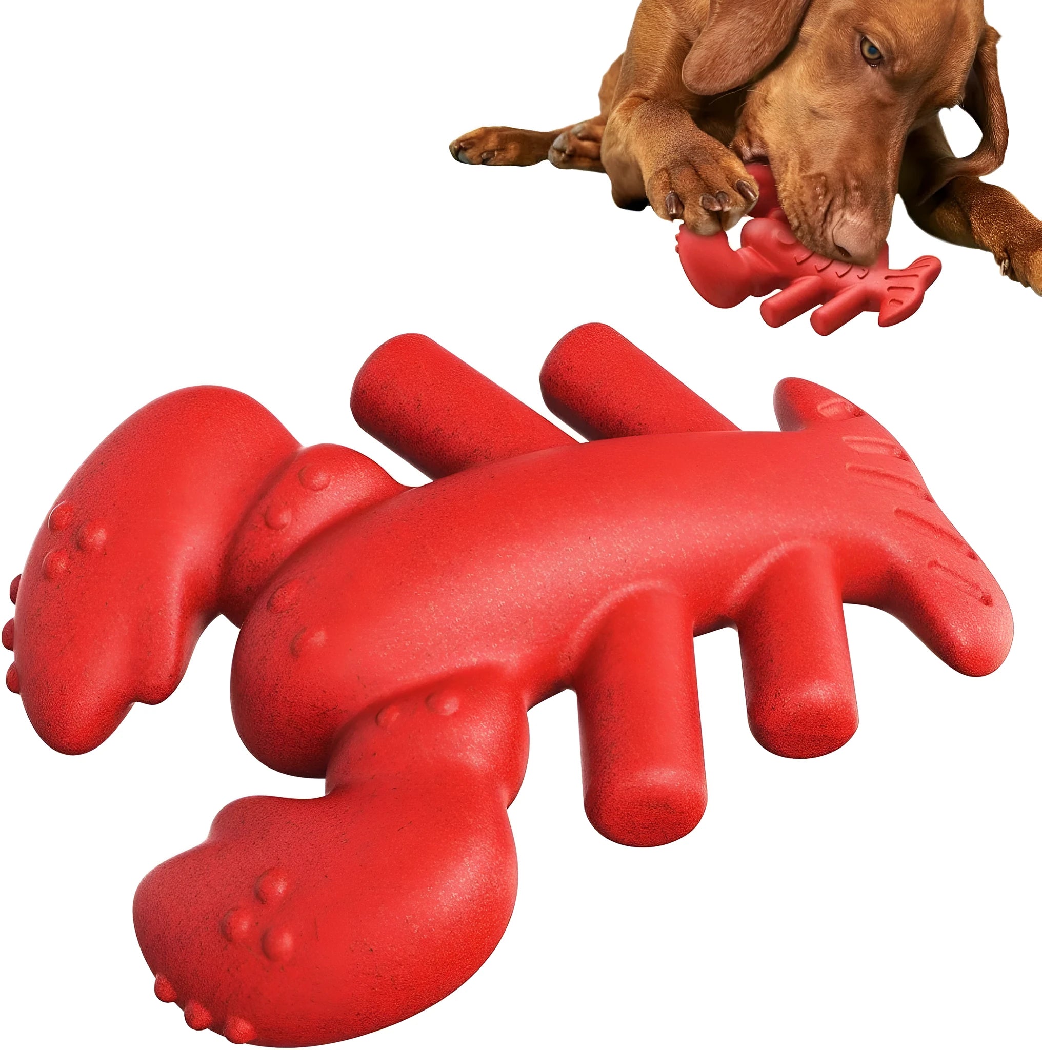 Large red dog chew toy for aggressive chewers with dental benefits