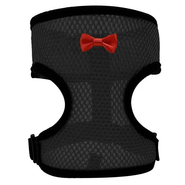 Chicken harness vest with decorative bow collar and traction rope for poultry pet control