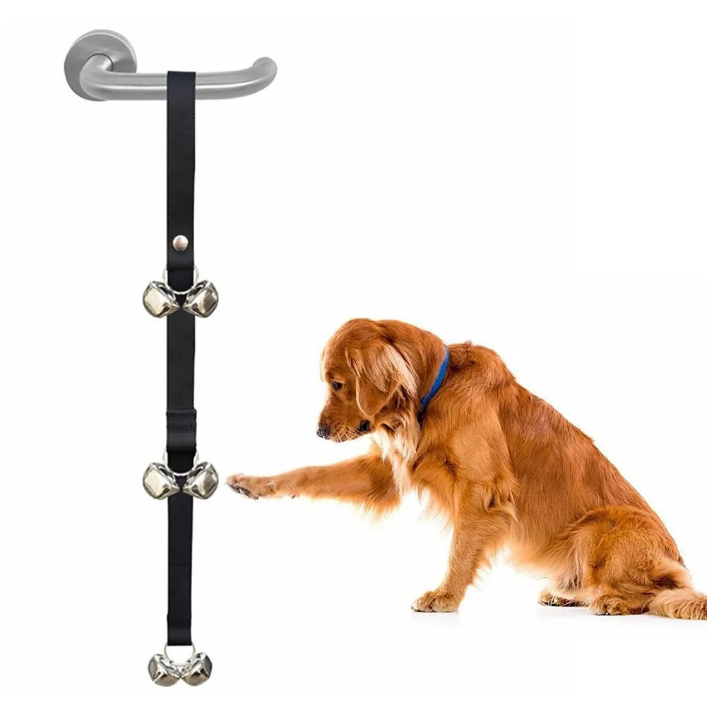 Adjustable dog training doorbell with shiny silver metal bells on a black nylon strap
