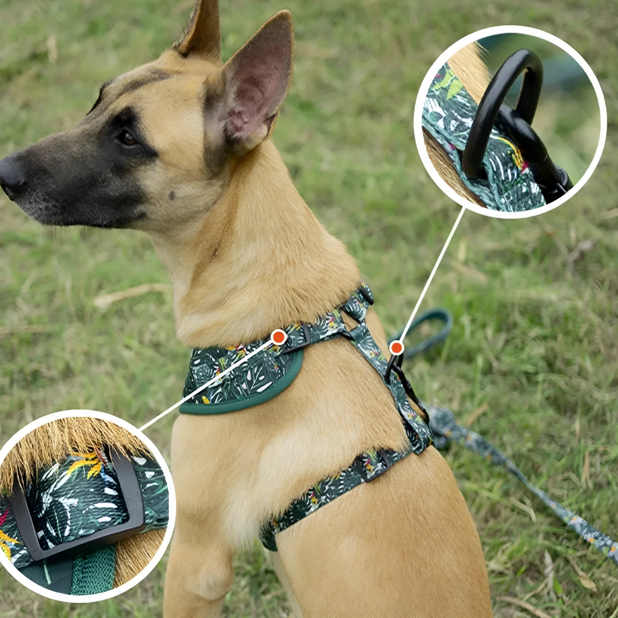 Six-piece adjustable cloth dog harness set with leash, collar, poop bag, bow tie, and bib on a white background.