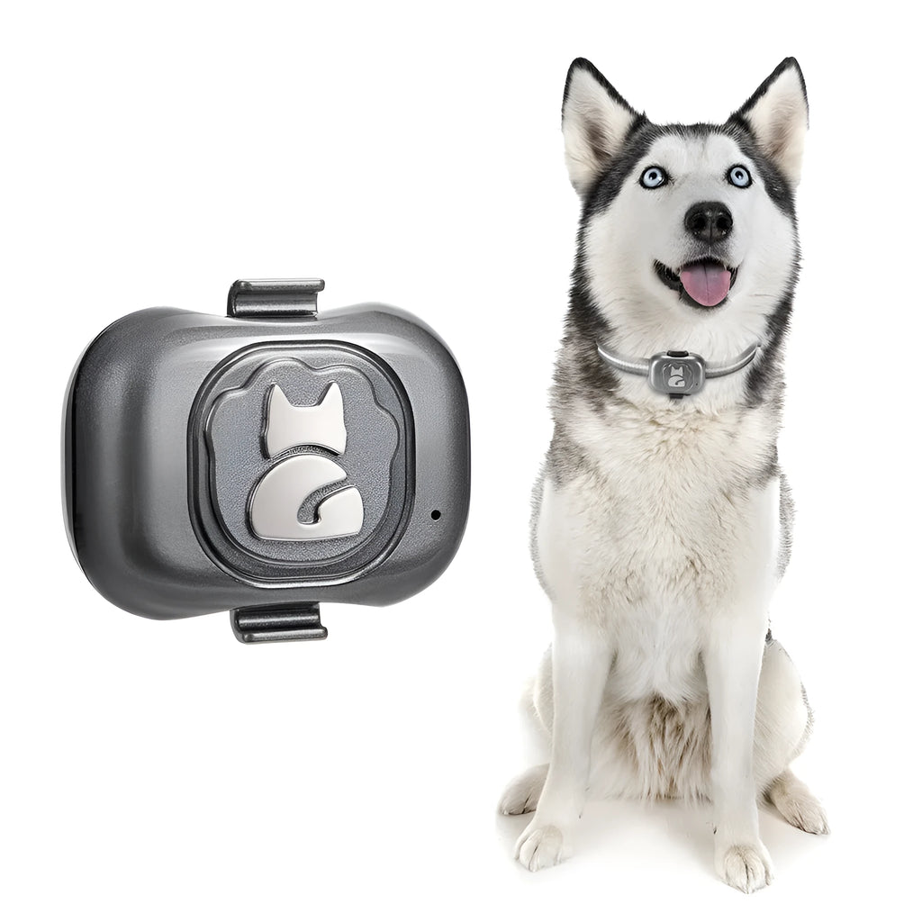 Black GF-07 pet GPS locator device with hanging rope attachment for dog or cat collar mounting