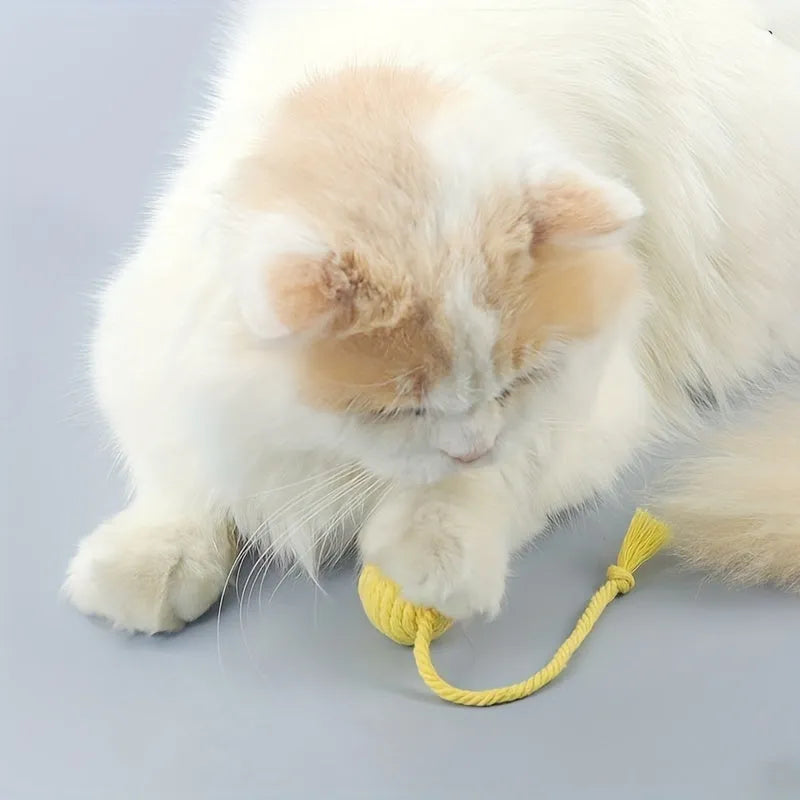 Interactive cat toy ball with rope and internal bell in green, pink, purple and yellow colours