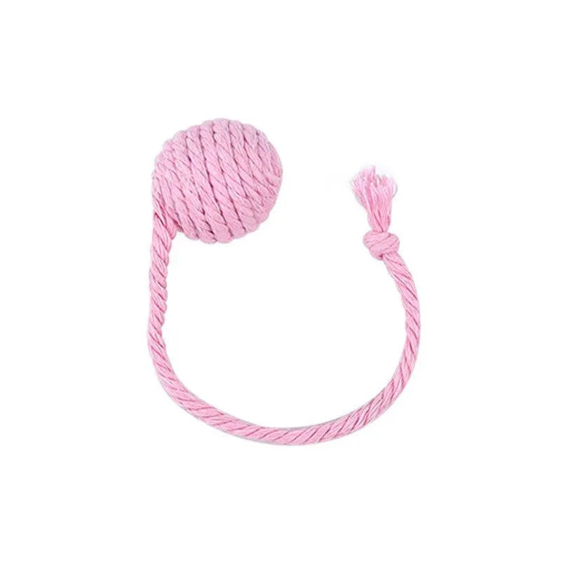 Interactive cat toy ball with rope and internal bell in green, pink, purple and yellow colours