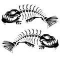 Self-adhesive multicolour skeleton fish car sticker with hollow engraving effect on a car body