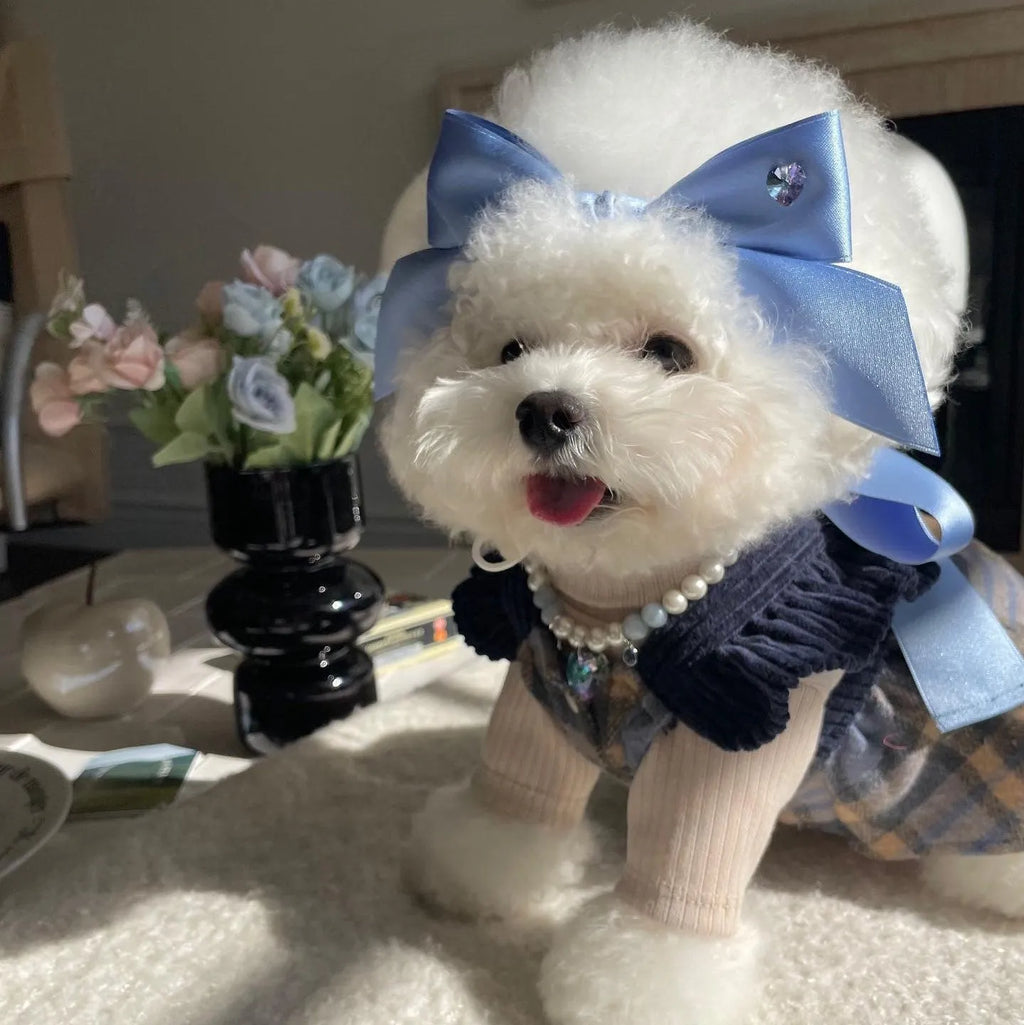 Princess style dog hair band with bow tension adjustment on small dog