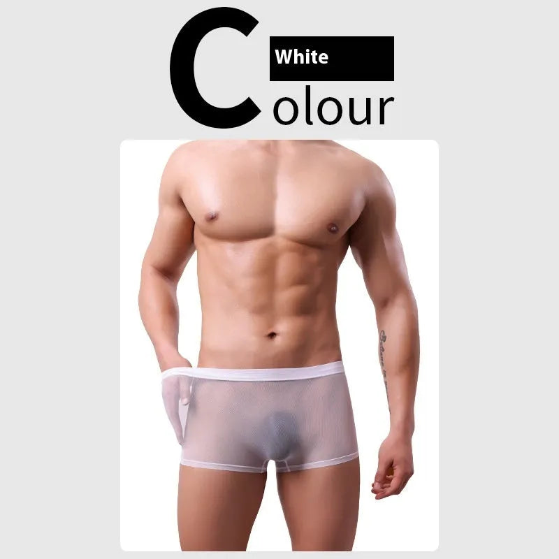 Men's low-waist mesh boxer briefs in thin sheer fabric, shown in multiple colours.