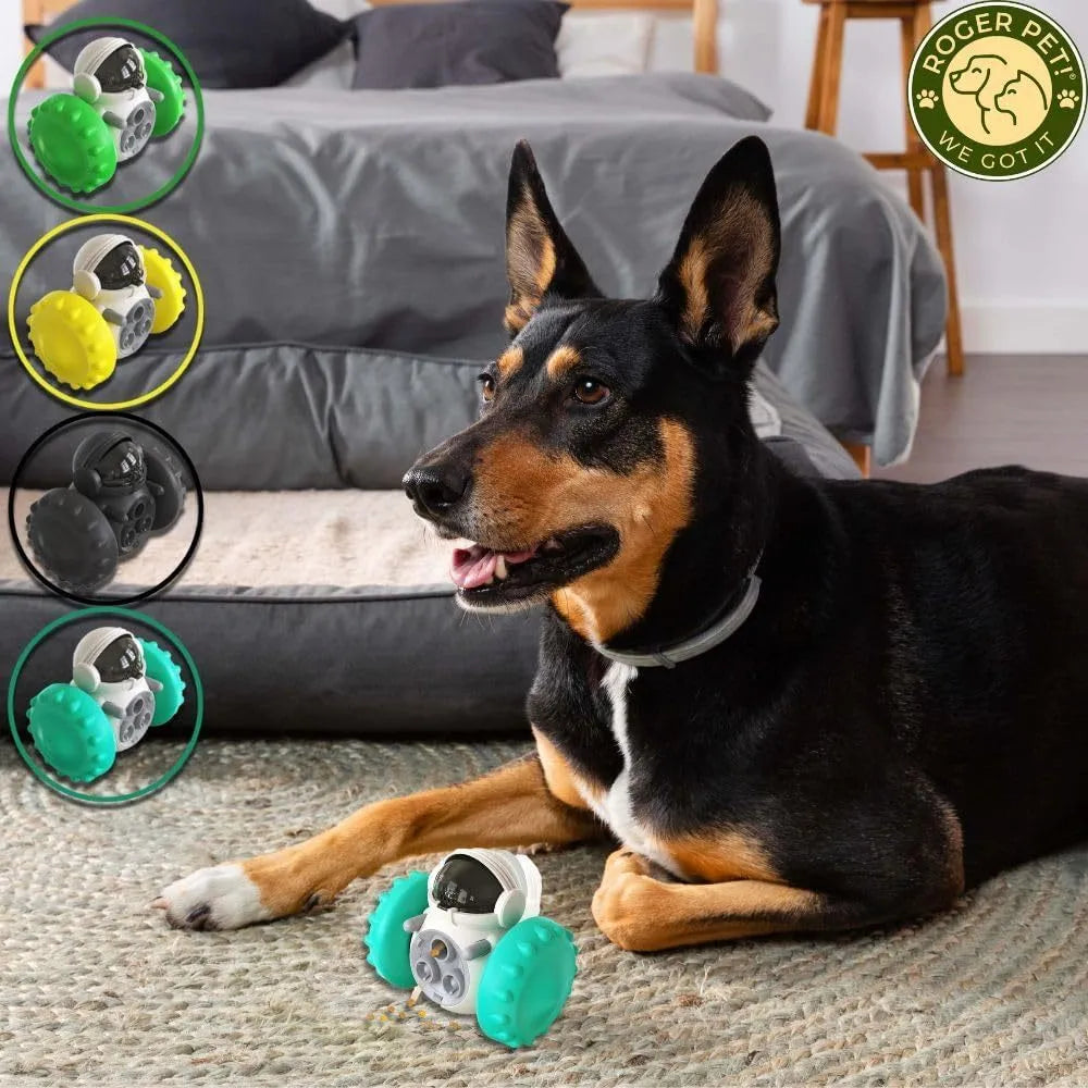 Small dog treat dispenser toy with robot appearance in five colour options showing dimensions