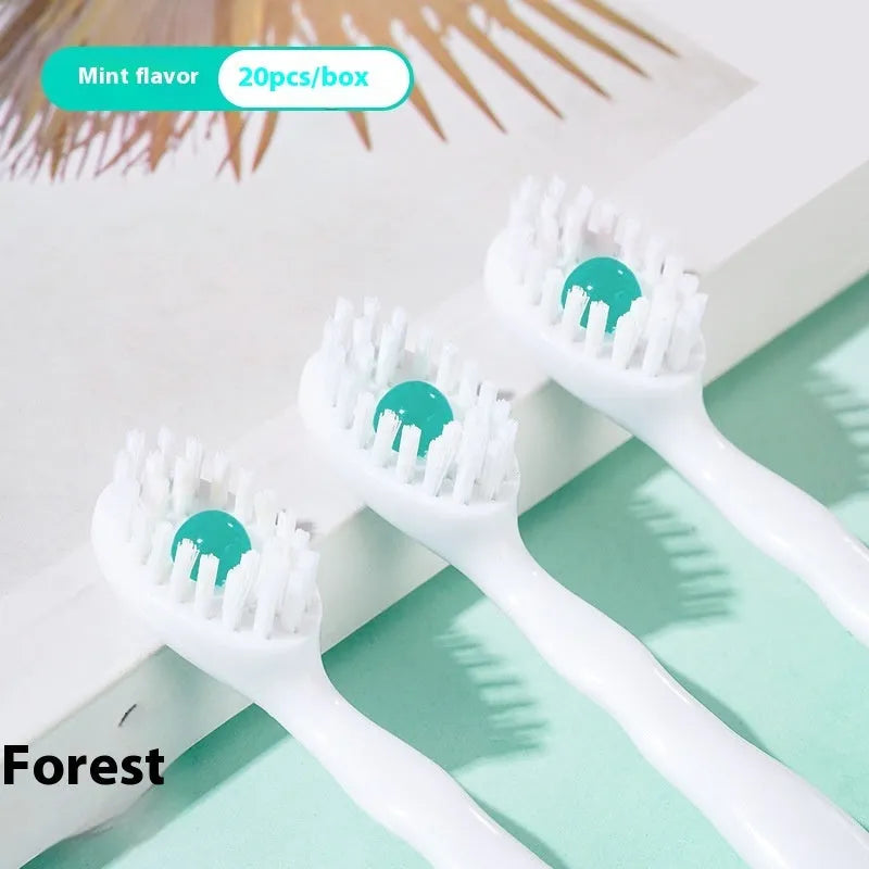 Box of disposable bead toothbrushes in mint, peach, plum green tea, and mixed flavours for travel oral care.