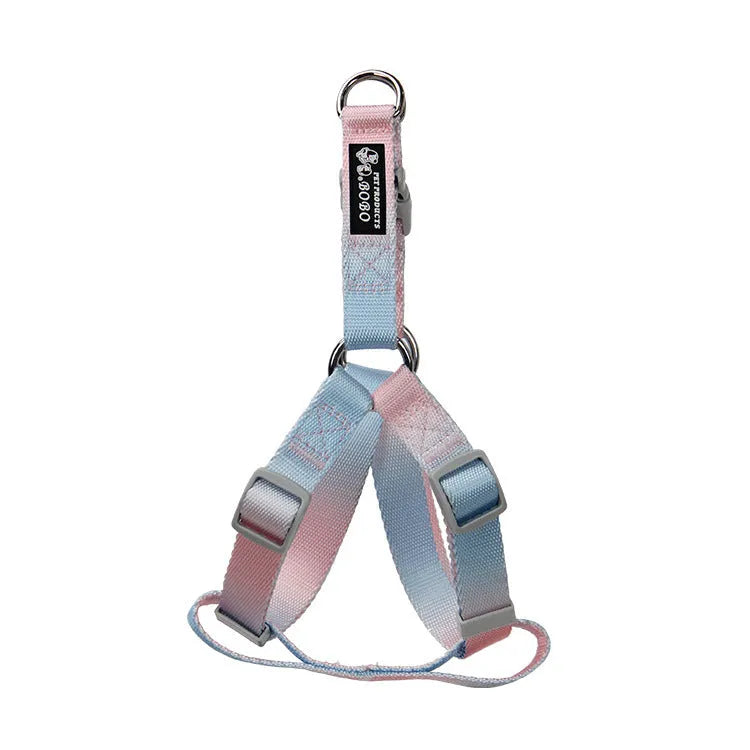 Nylon dog leash set with collar and harness in a pink and blue gradient colour.