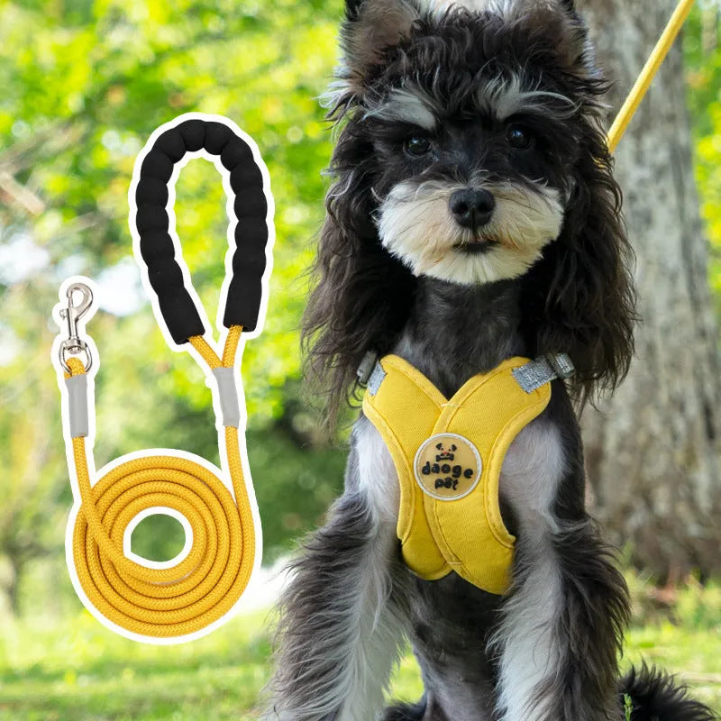 Polyester pet walking vest and hand-holding rope combo set in four colour options