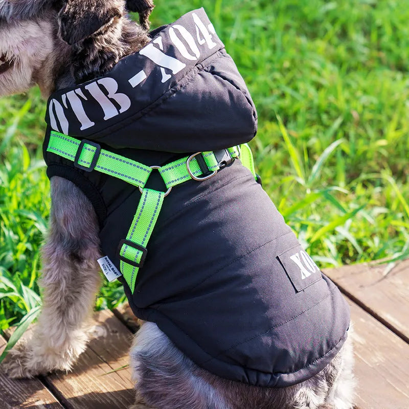 Red fleece-lined waterproof dog jacket with hood on a dog, showing casual style.