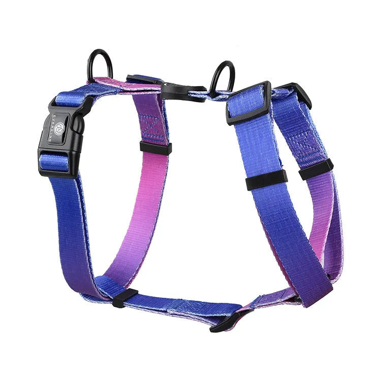 Gradient colour dog harness chest straps in purple, blue, neon, and green designs with adjustable sizing.