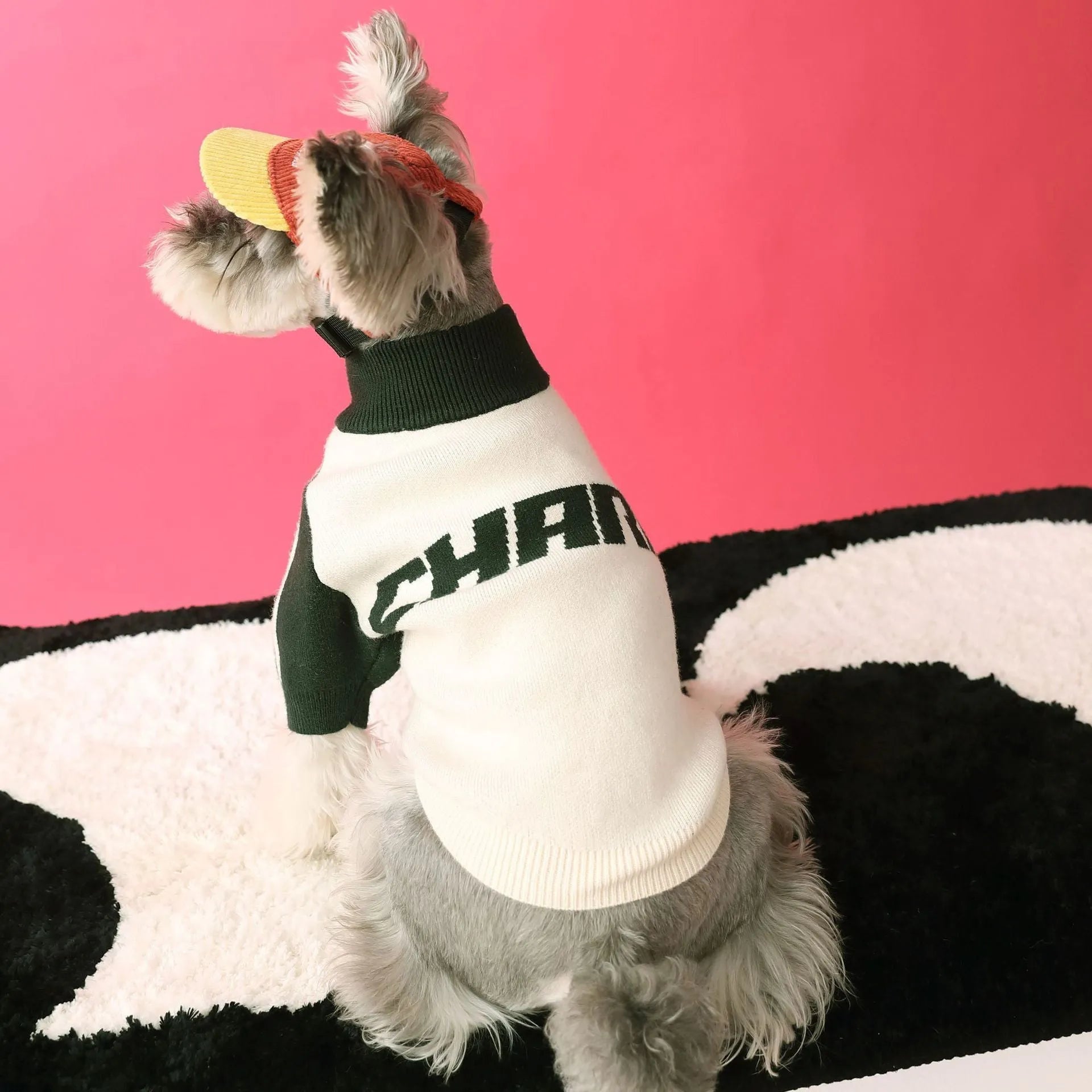 Red wool knit sports cardigan sweater worn by a dog, showing ribbed collar and front opening.
