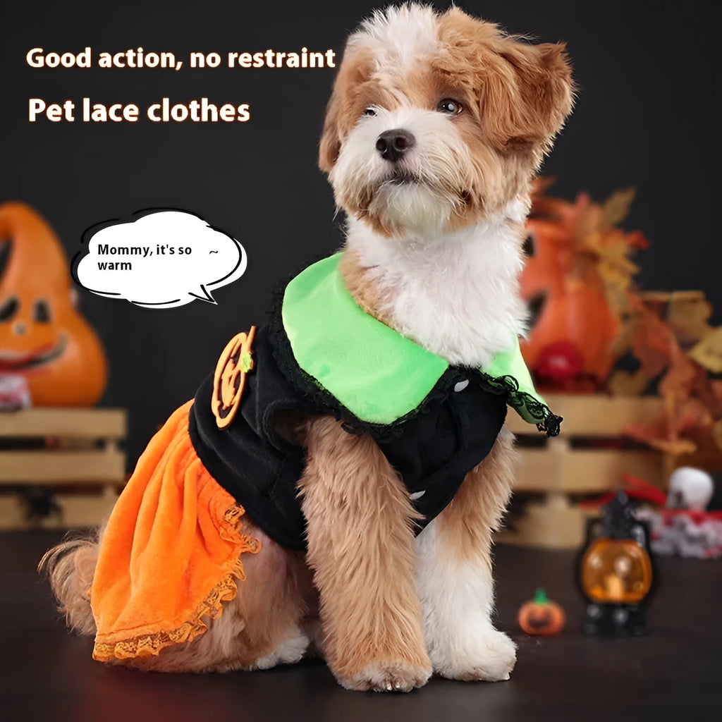 Halloween pumpkin skirt costume on a small dog made from crystal velvet fabric