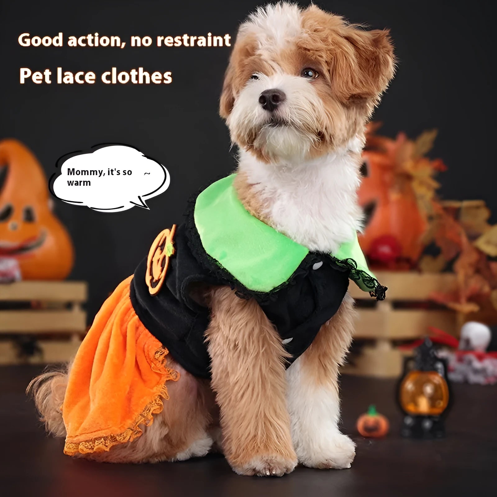 Halloween pumpkin skirt costume on a small dog made from crystal velvet fabric