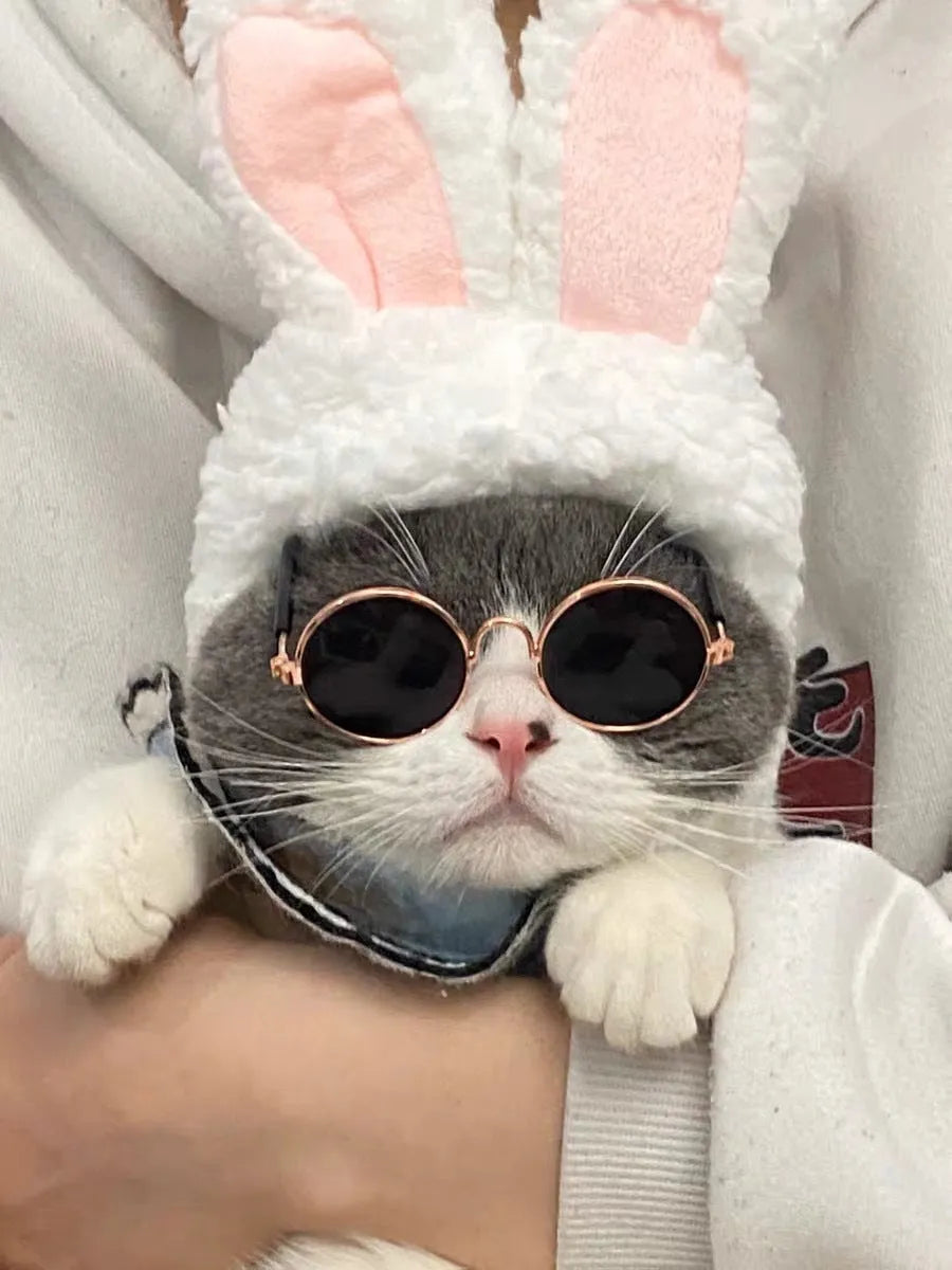 Cat wearing plaid lion headgear hat with gold chain and sunglasses