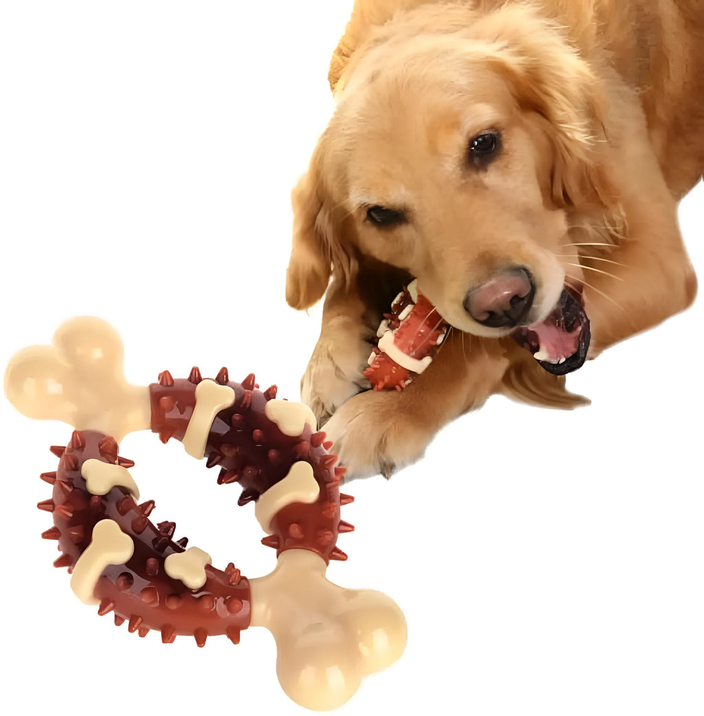 Bone-shaped natural rubber dog dental chew toy for teeth cleaning and anxiety relief in two sizes