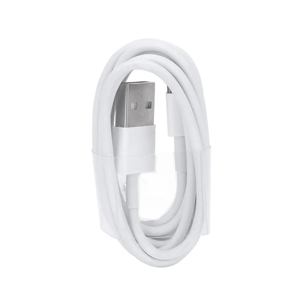 White USB travel charger and cable for charging iPhone and iPad models