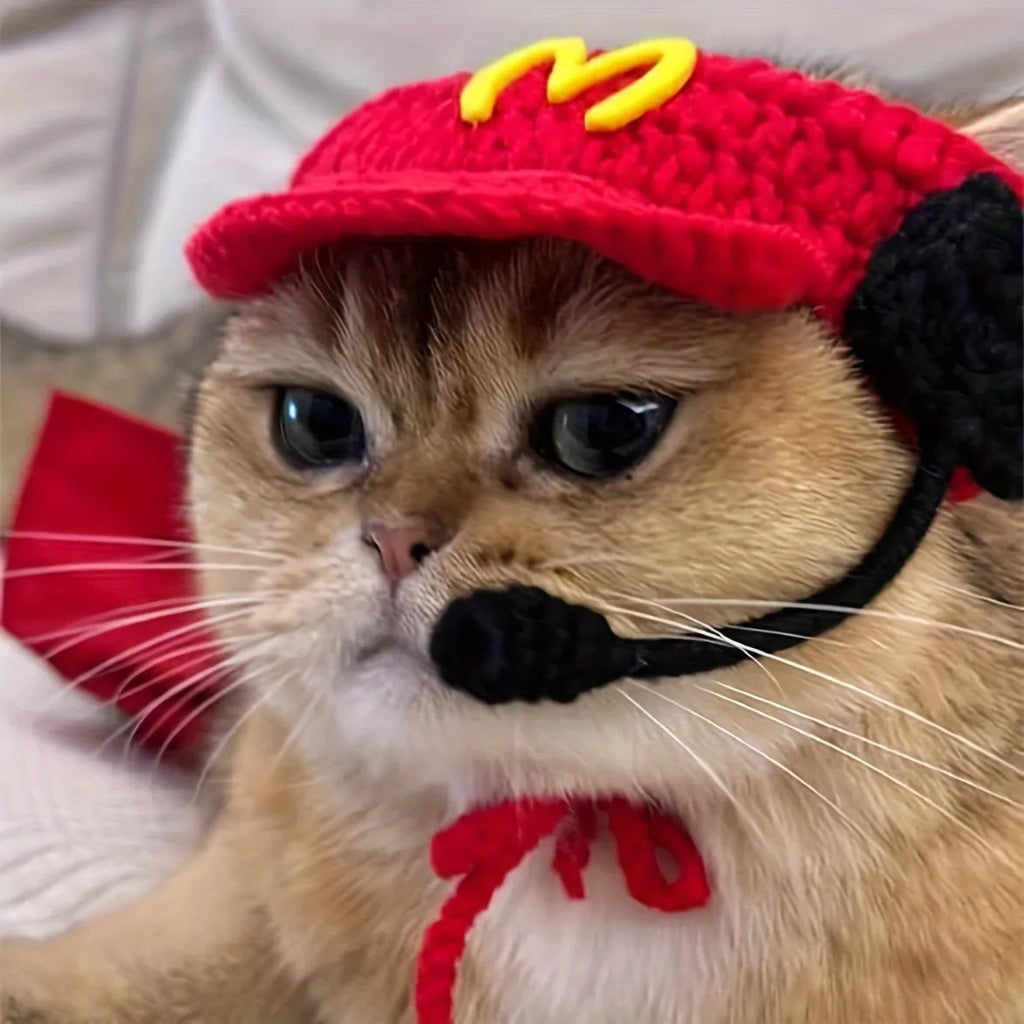 Handmade chef hat and cotton knitted sweater outfit on a small cat or dog for birthday parties.