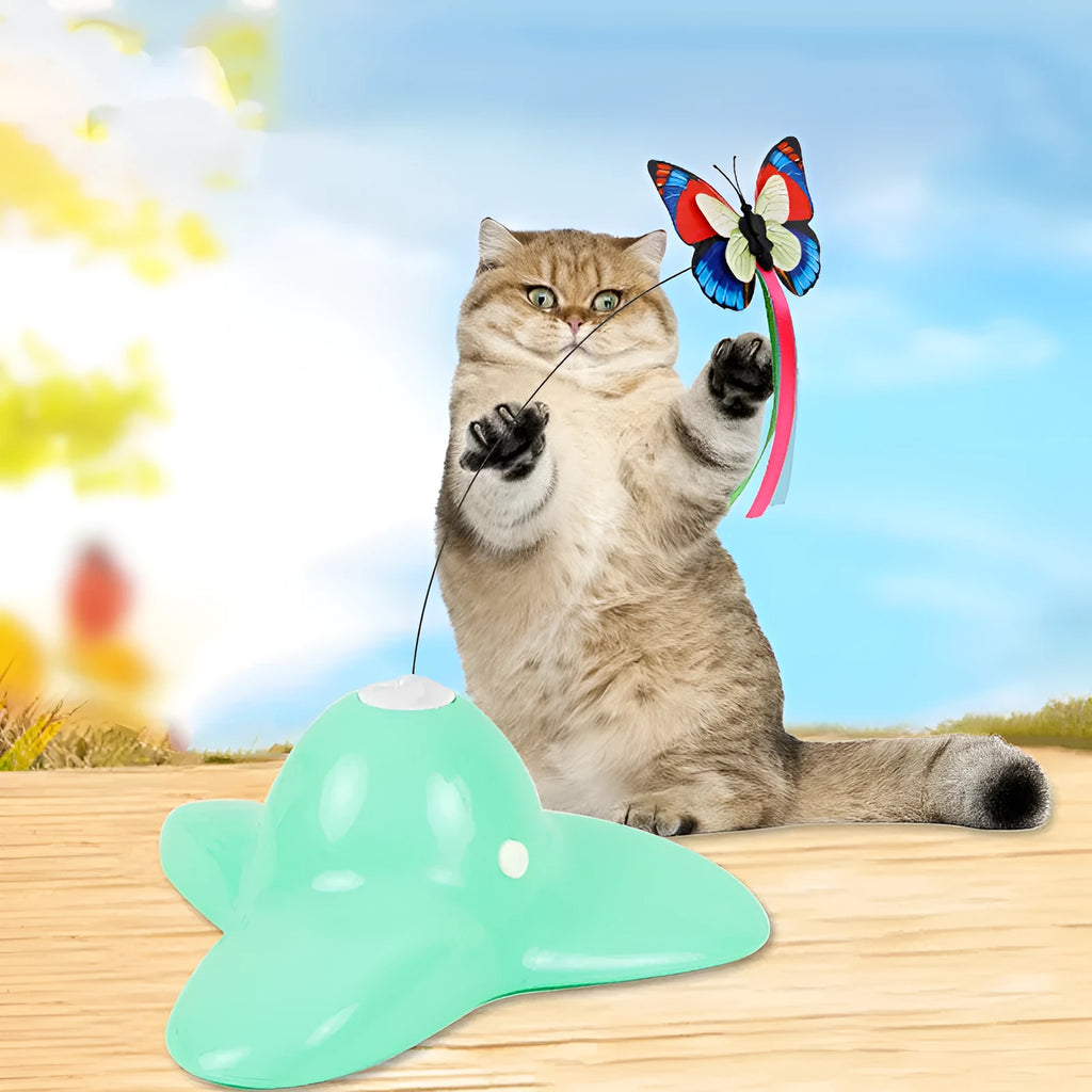 Educational pet toy for cats, 18.5cm by 20cm by 8cm, in green with ABS and steel wire construction