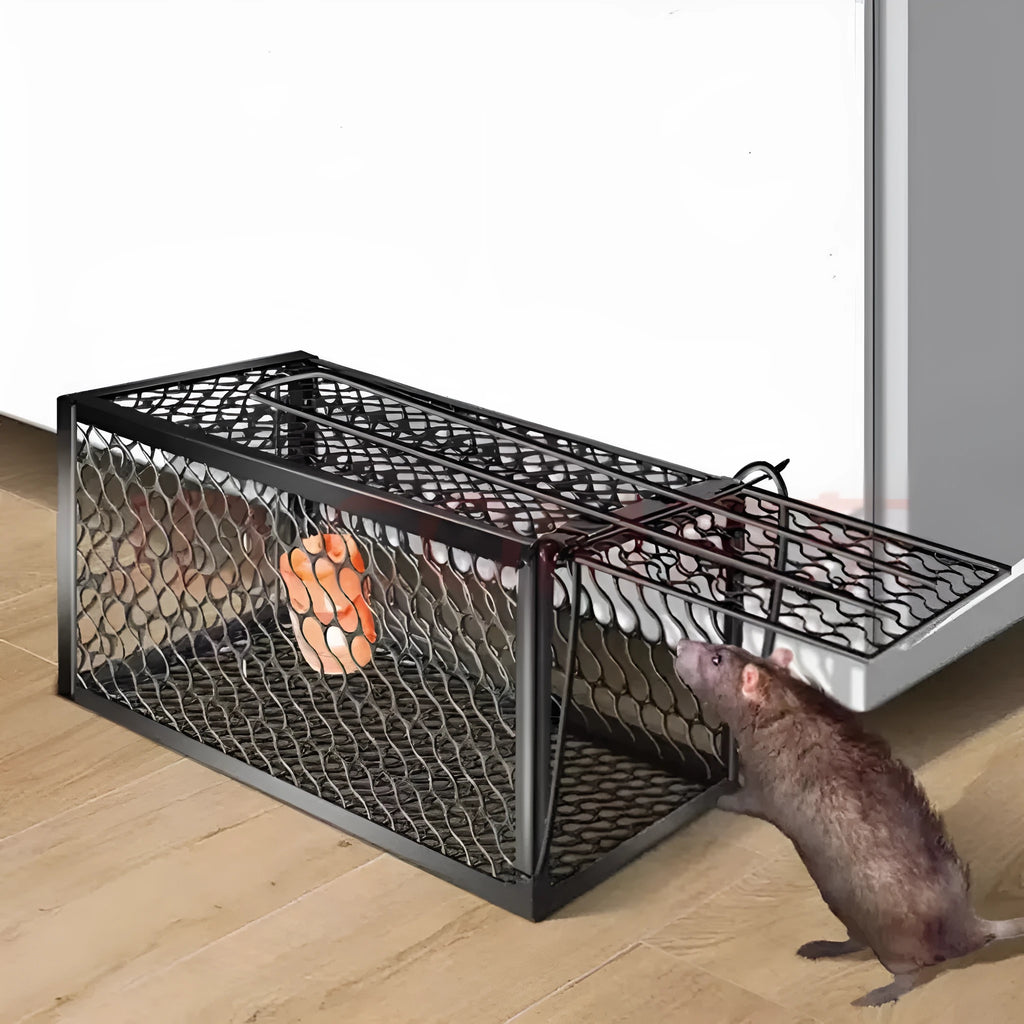 Automatic humane live-catch mouse trap in metal and plastic, shown in small, medium, and large sizes.