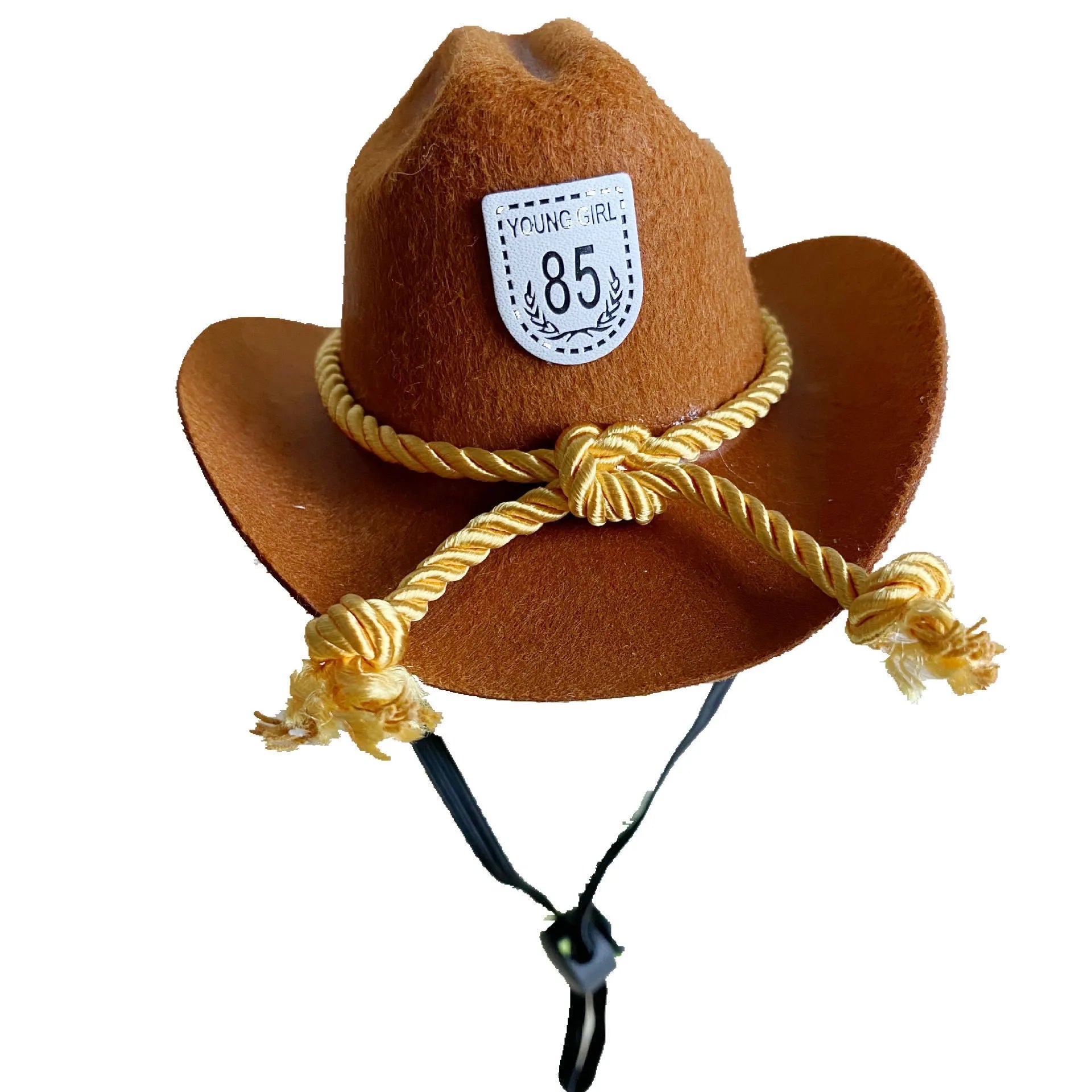 British-style brown cowboy hat for a cat with a black ribbon trim on a white background.