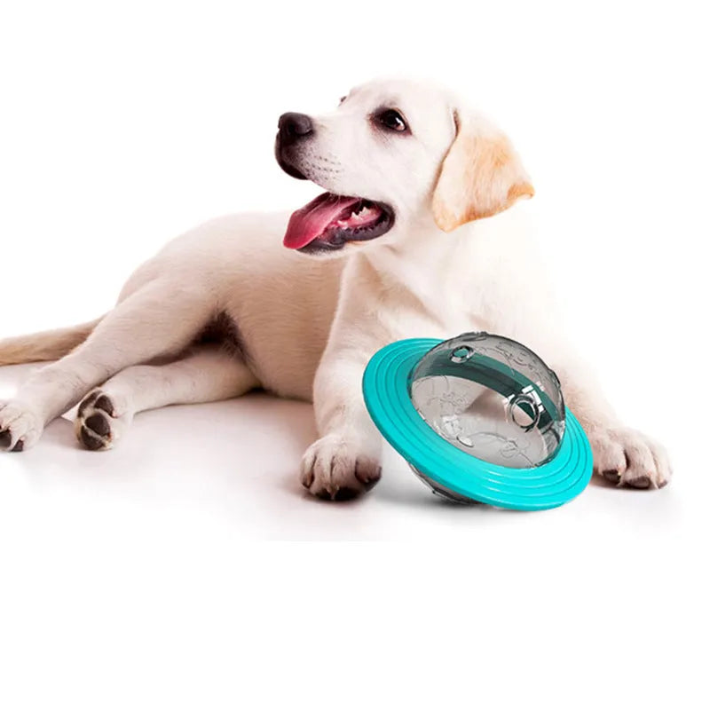 Plastic missing food educational toy with leak-feeding hole for dogs and cats, Lake Blue and Yellow colours