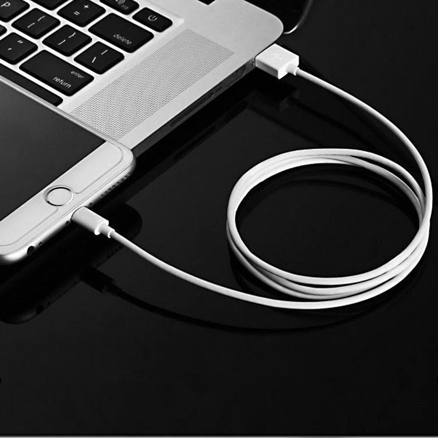 White USB travel charger and cable for charging iPhone and iPad models
