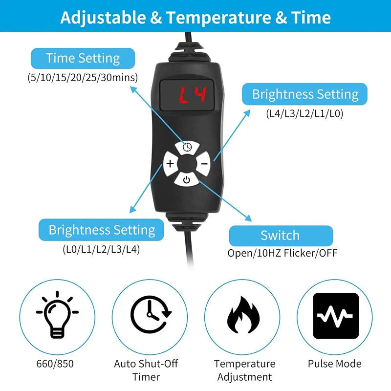 Black red light infrared physical therapy belt for waist pain relief with 12V operation