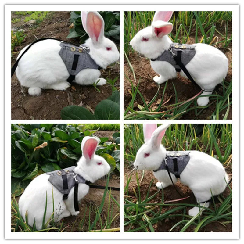 Grey cloth rabbit leash with dress in three sizes S M L chest strap
