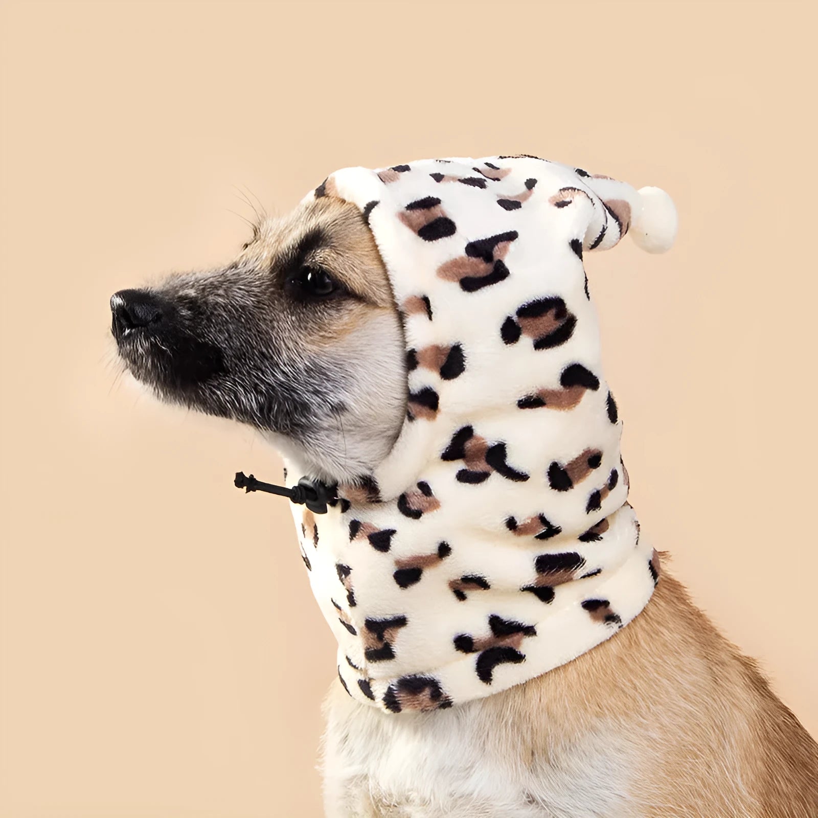 Cloth pet headgear with bear headdress and rabbit ears in leopard print colour