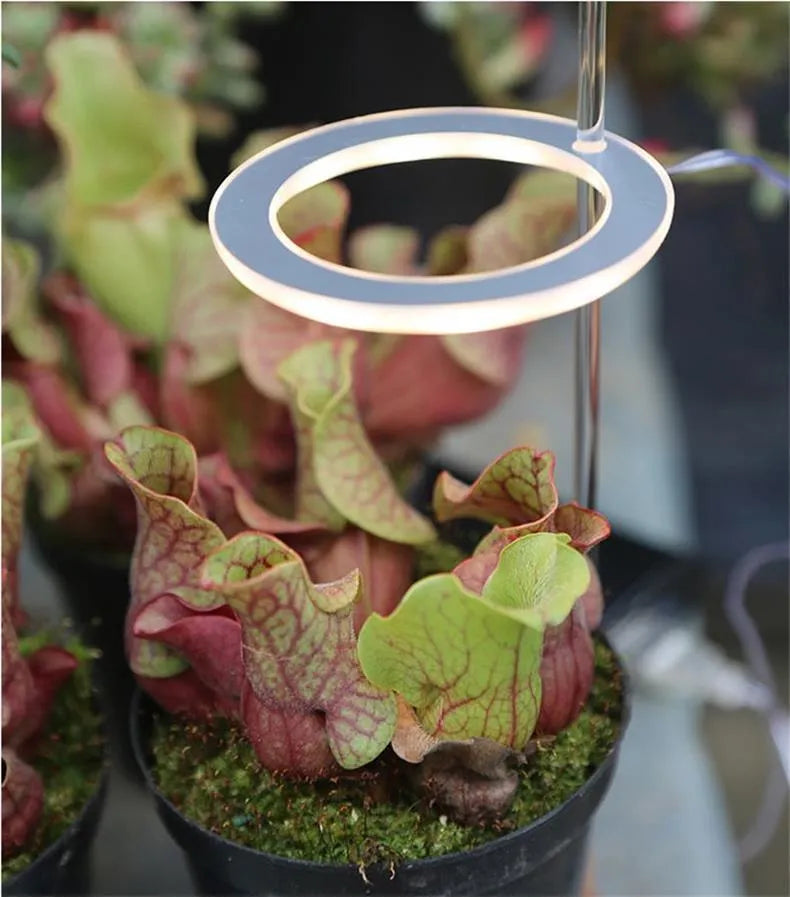 USB LED full spectrum plant grow light with acrylic stick on white background
