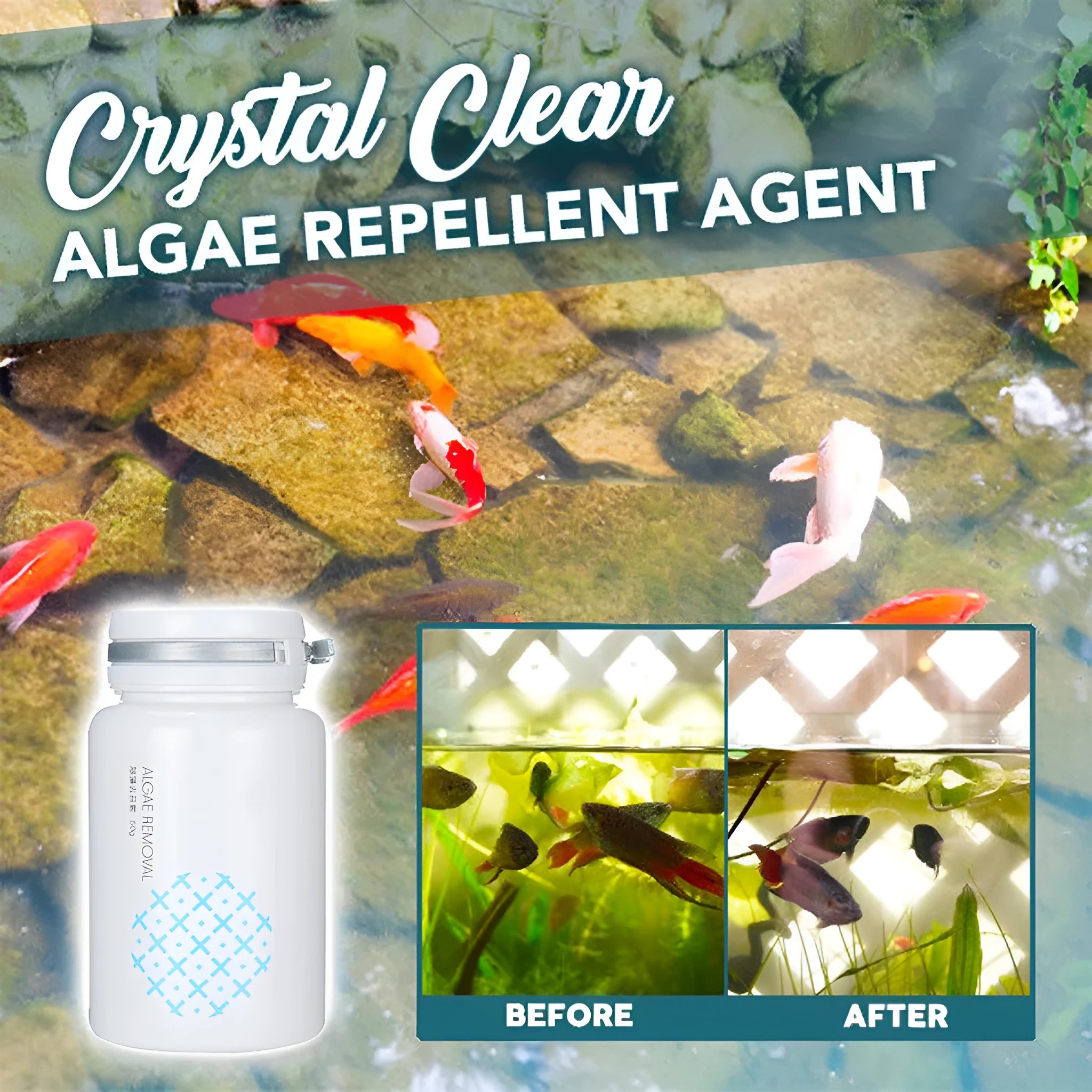 50g algaecide container for swimming pool algae removal and moss treatment