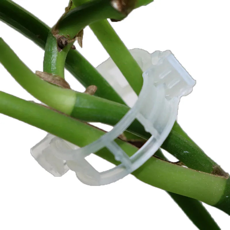 Assortment of 50 smooth plastic plant grafting clips for garden use on a white background.