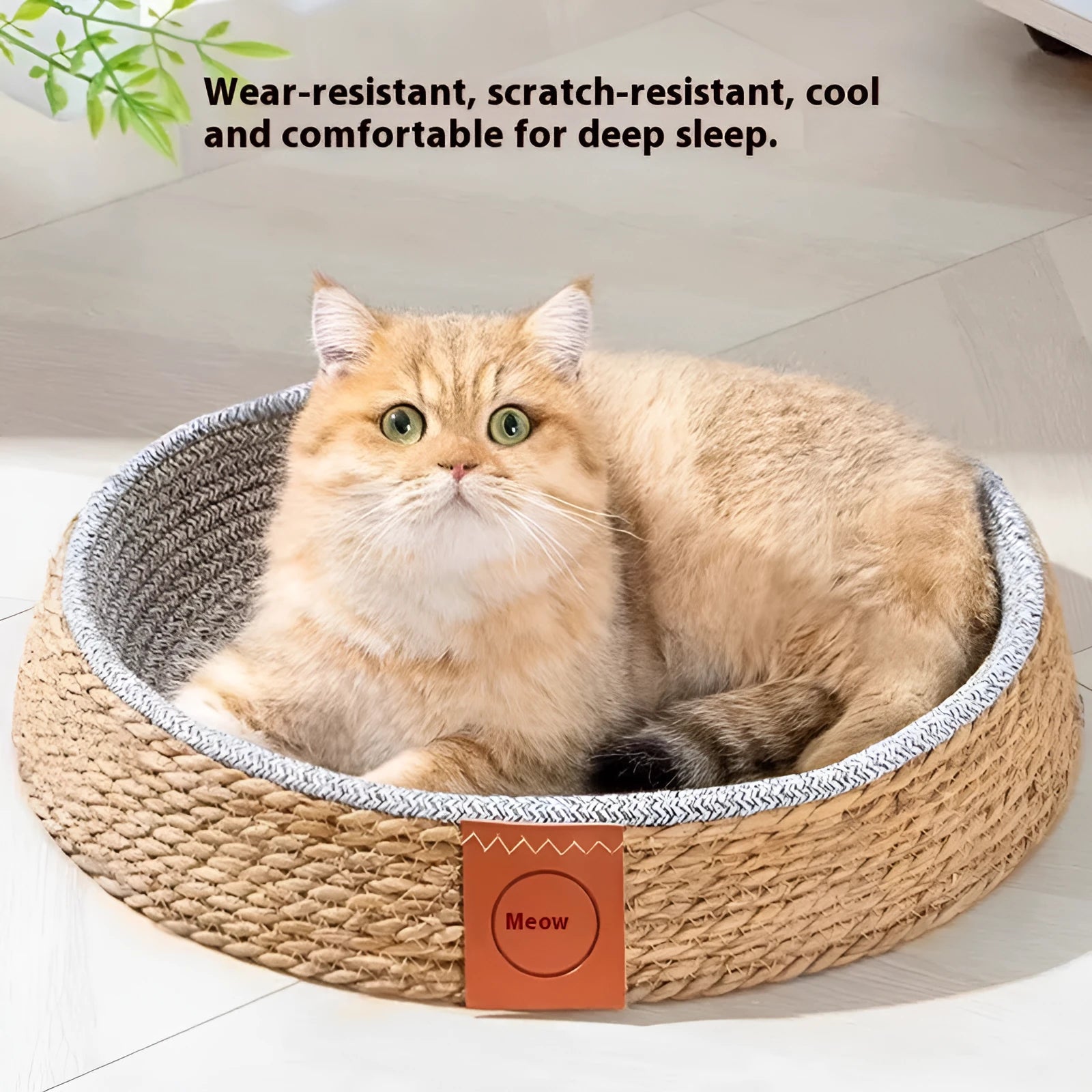 Rattan woven cat bed or nest for pets, shown in a neutral colour, suitable for small to extra-large cats.